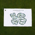 Jacaranda Golf Club, Florida - Printed Golf Courses