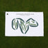 Kittanning Country Club, Pennsylvania - Printed Golf Courses