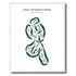 LPGA International, Florida - Printed Golf Courses