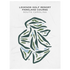 Legends Golf Resort - Parkland Course, South Carolina - Printed Golf Courses