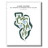Links Course at Grand Cypress Golf Club, Florida - Printed Golf Courses