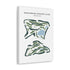 Manchester Country Club, Vermont - Printed Golf Course