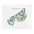 Manor Country Club, Maryland - Printed Golf Courses