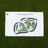 McDonald Golf Course, Indiana - Printed Golf Courses