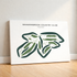 Meadowbrook Country Club, Texas - Printed Golf Courses