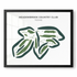 Meadowbrook Country Club, Texas - Printed Golf Courses