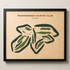 Meadowbrook Country Club, Texas - Printed Golf Courses