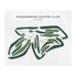 Meadowbrook Country Club, Texas - Printed Golf Courses
