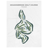Meadowbrook Golf Course, Texas - Printed Golf Courses