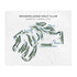 Meadowlands Golf Club, North Carolina - Printed Golf Courses