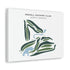 Mohall Country Club, North Dakota - Printed Golf Courses