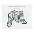 Mount Snow Golf Club, Vermont - Printed Golf Courses