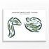 Newport Beach Golf Course, California - Printed Golf Courses