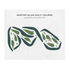 Northfields Golf Course, Massachusetts - Printed Golf Courses