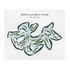 Ocotillo Golf Club, Arizona - Printed Golf Courses