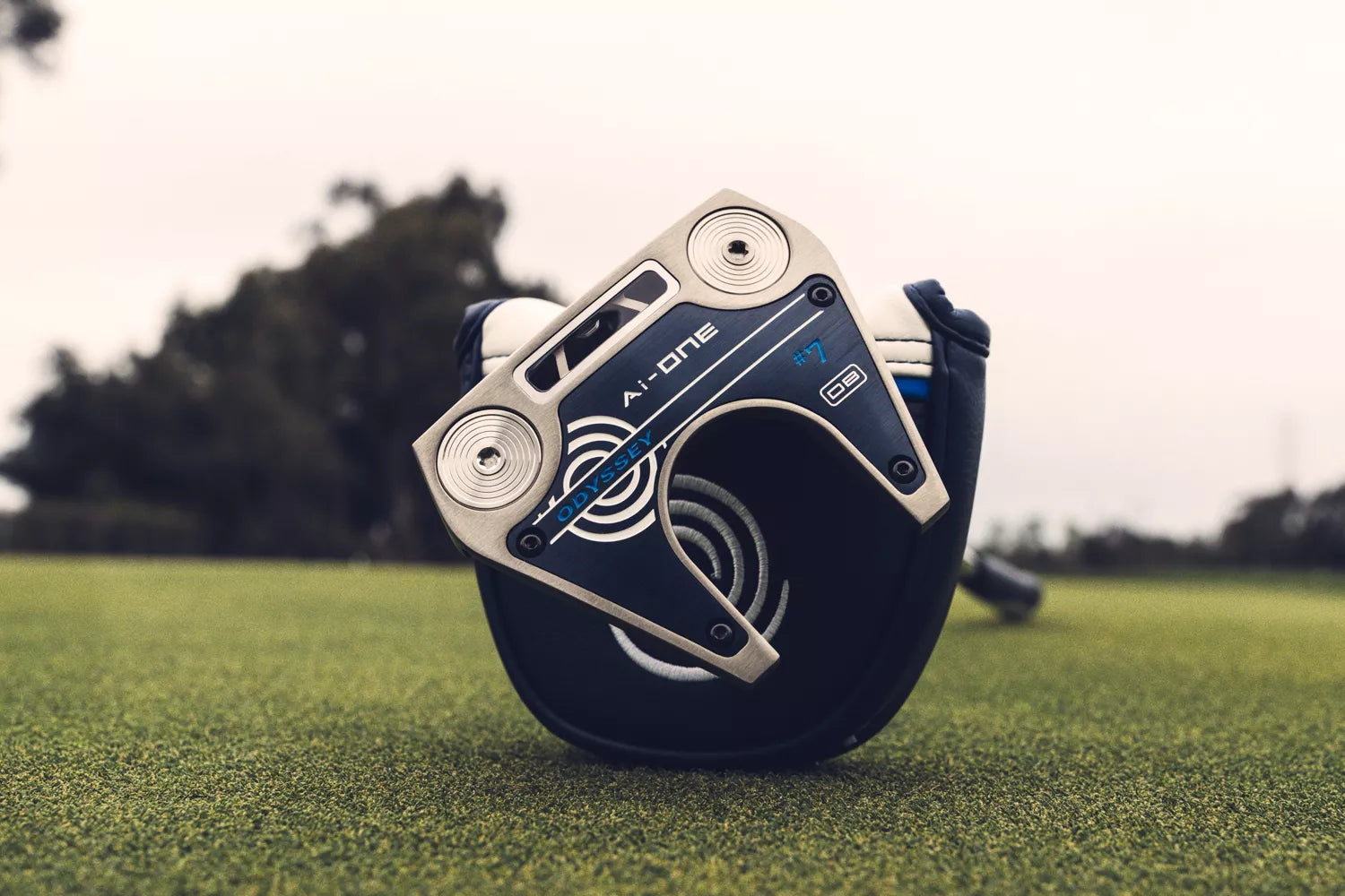 Odyssey Ai-One 7 DB Putter