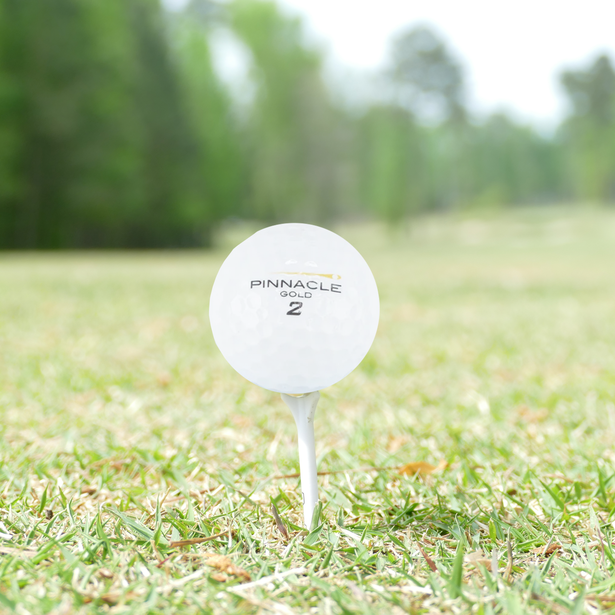 Used Pinnacle Mix Golf Balls - 1 Dozen