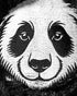 Panda - Fairway Cover