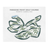 Paradise Point Golf Course, North Carolina - Printed Golf Courses