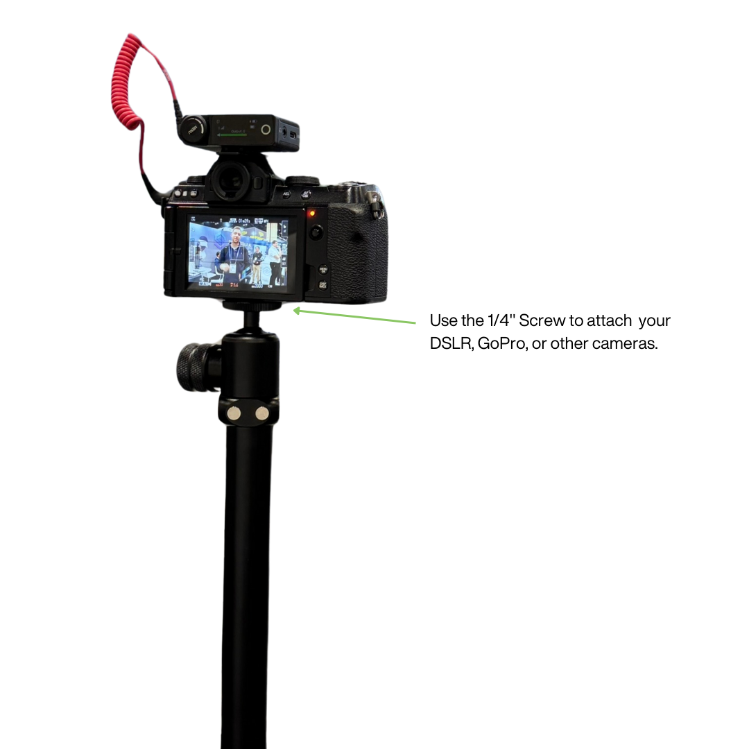 GPOD G BUNDLE 3 : GPOD Pauly P + GPOD Base