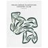 Pecan Grove Plantation Country Club, Texas - Printed Golf Courses