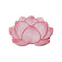 Lotus Flower Patch