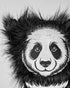Panda - Driver Cover