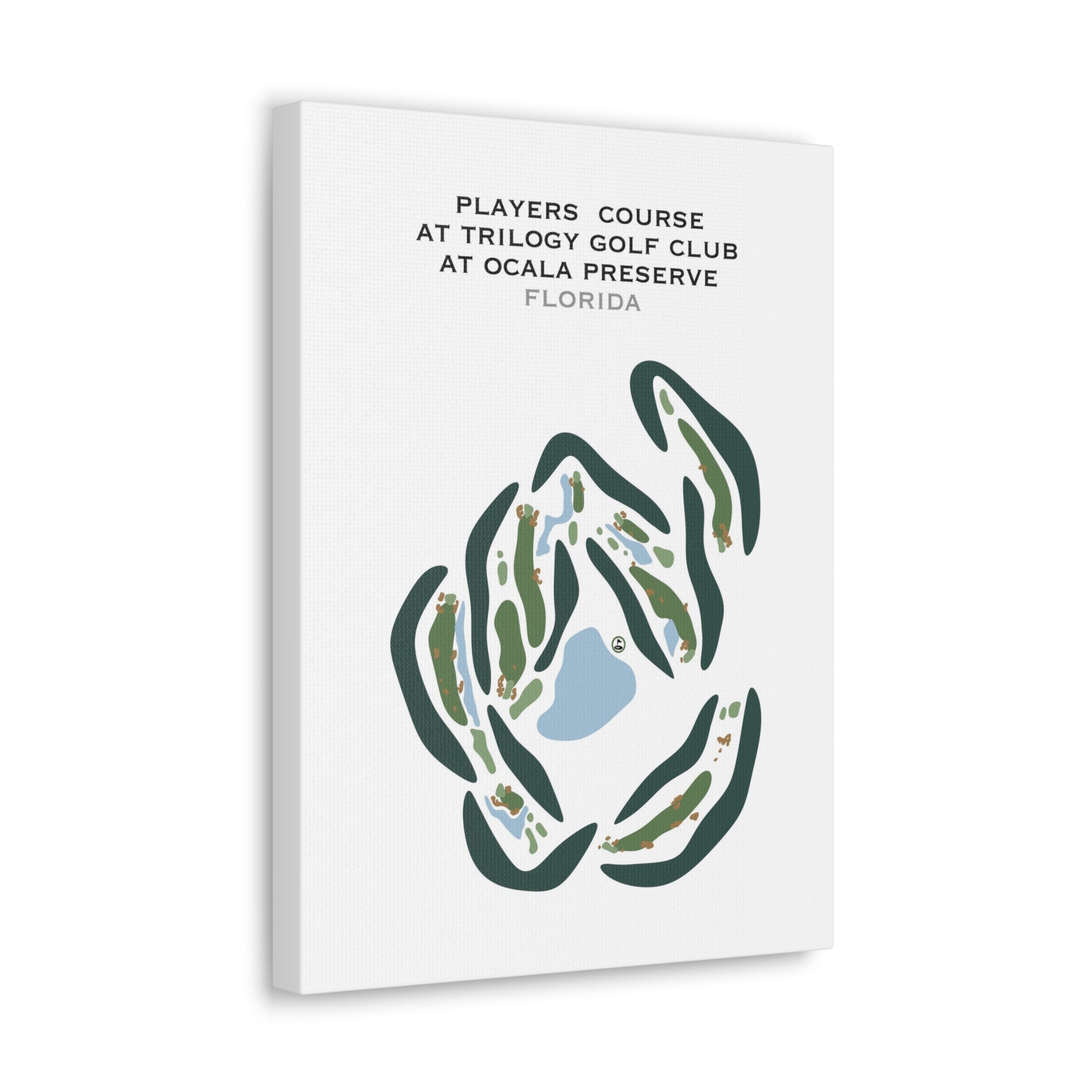 Players Loop Course at Trilogy Golf Club at Ocala Preserve, Florida - Printed Golf Courses