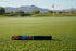 Arizona Theme Putter
