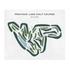 Province Lake Golf Course, Maine - Printed Golf Courses