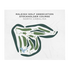 Raleigh Golf Association - Stockholders Course, North Carolina - Printed Golf Courses