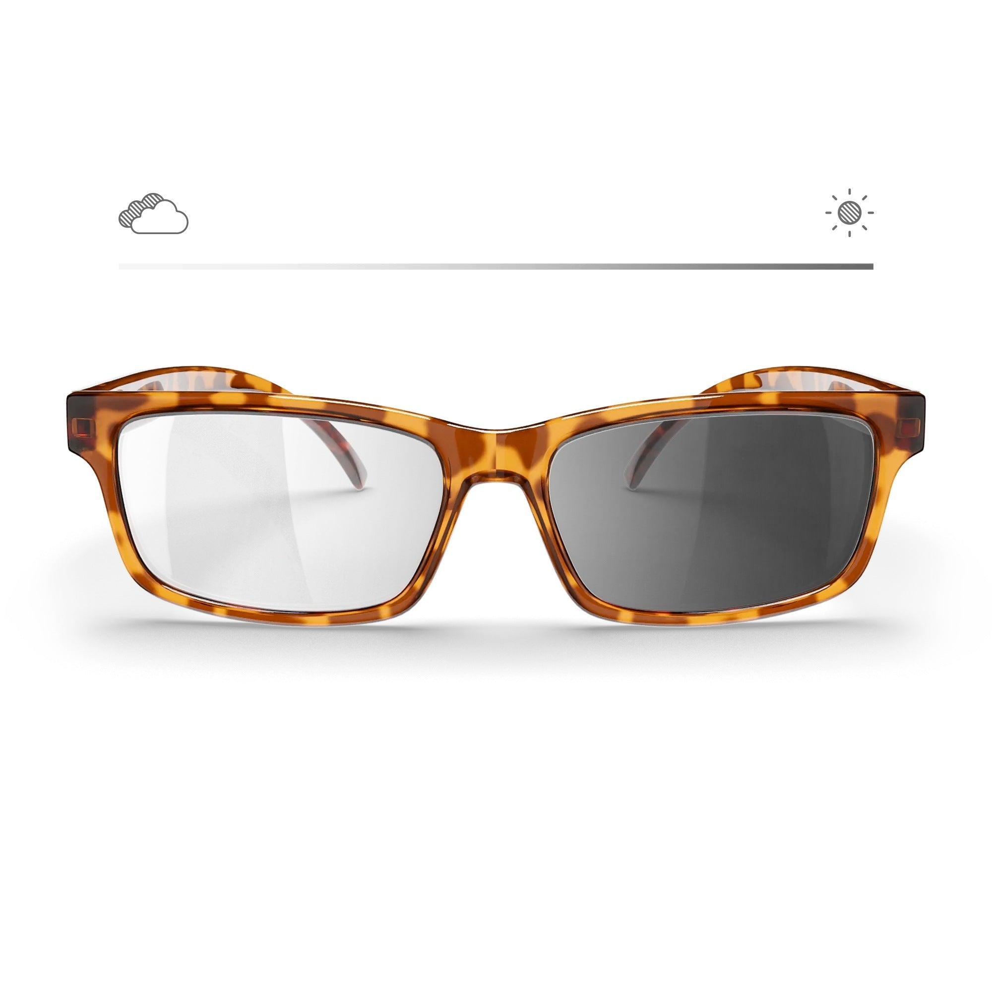 Tortoise Rectangle Prescription Transitions® XTRActive Polarized