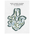 Rees Jones Course at The Breakers, Florida - Printed Golf Courses