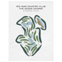 Rio Mar Country Club - The Ocean Course, Puerto Rico - Printed Golf Courses