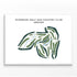Riverside Golf & Country Club, Oregon - Printed Golf Courses