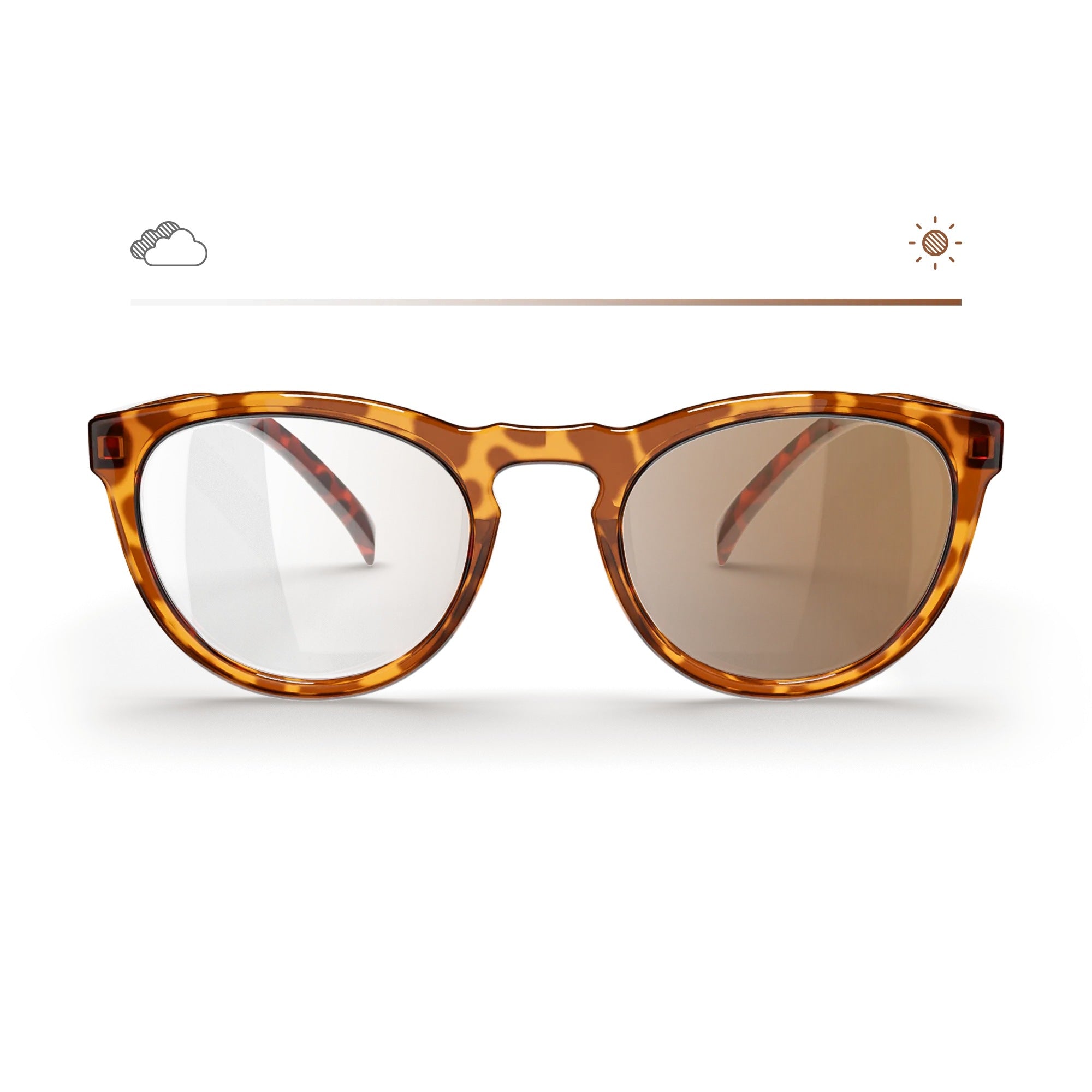 Tortoise Round Prescription Transitions® Xtra Active