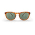 Tortoise Round Prescription Polarized Polycarbonate Sunglasses