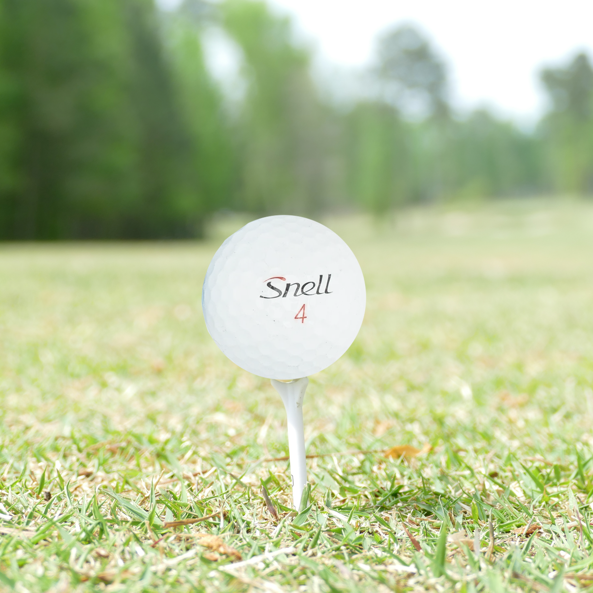 Used Snell Mix Golf Balls - 1 Dozen