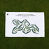 Sedge Valley Course at Sand Valley Golf Resort, Wisconsin - Printed Golf Courses