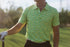 Plastered Polo
