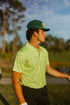 Plastered Polo