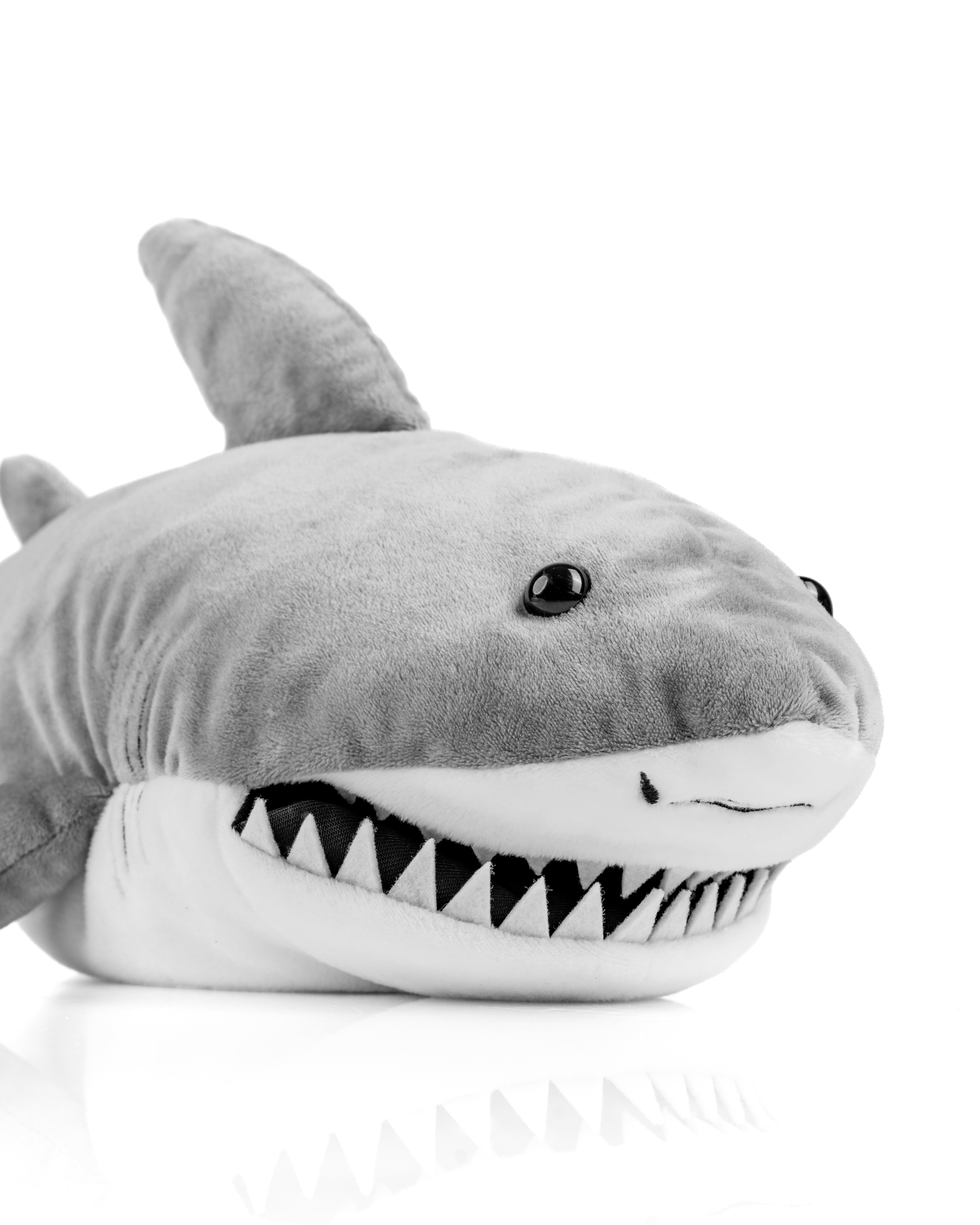 Shark - Driver Cover