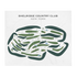 Shelridge Country Club, New York - Printed Golf Courses