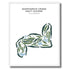 Shepherd's Crook Golf Course, Illinois - Printed Golf Courses