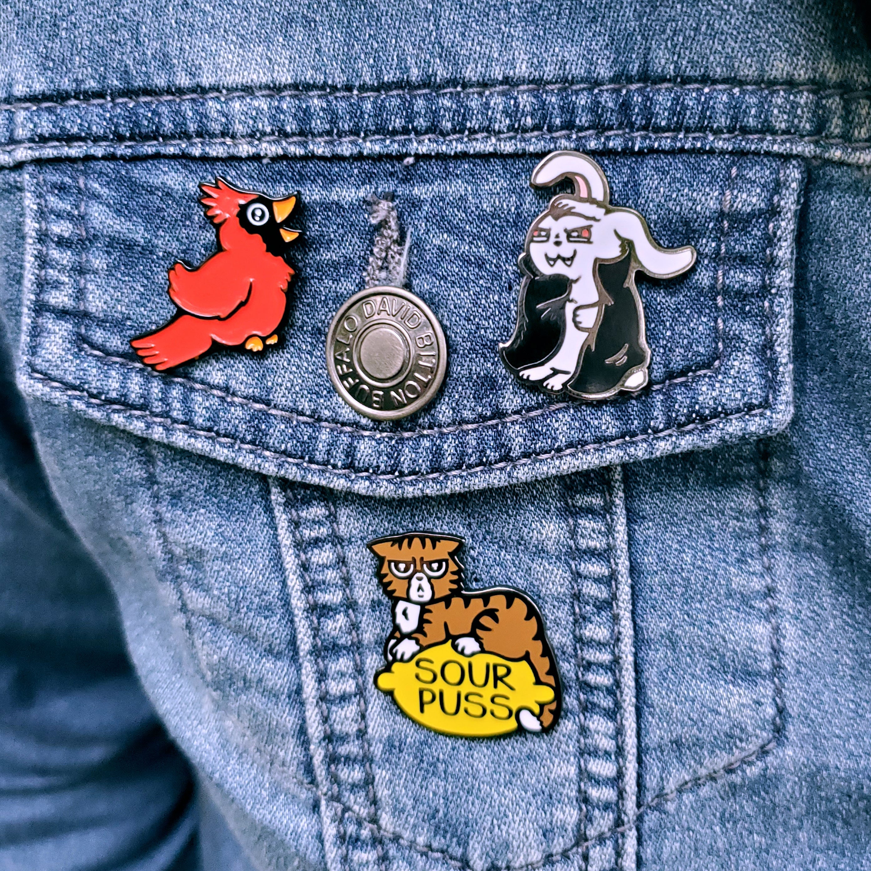 Cardinal Pin