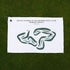 South Course at Wildhorse Golf Club at Robson Ranch, Texas - Printed Golf Courses