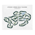 Stoney Creek Golf Course, Virginia - Printed Golf Courses