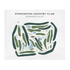 Stonington Country Club, Connecticut - Printed Golf Courses
