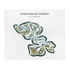 Streamsong Resort, Bowling Green, Florida - Printed Golf Courses