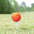 Used Taylormade Project (s) Golf Balls - 1 Dozen